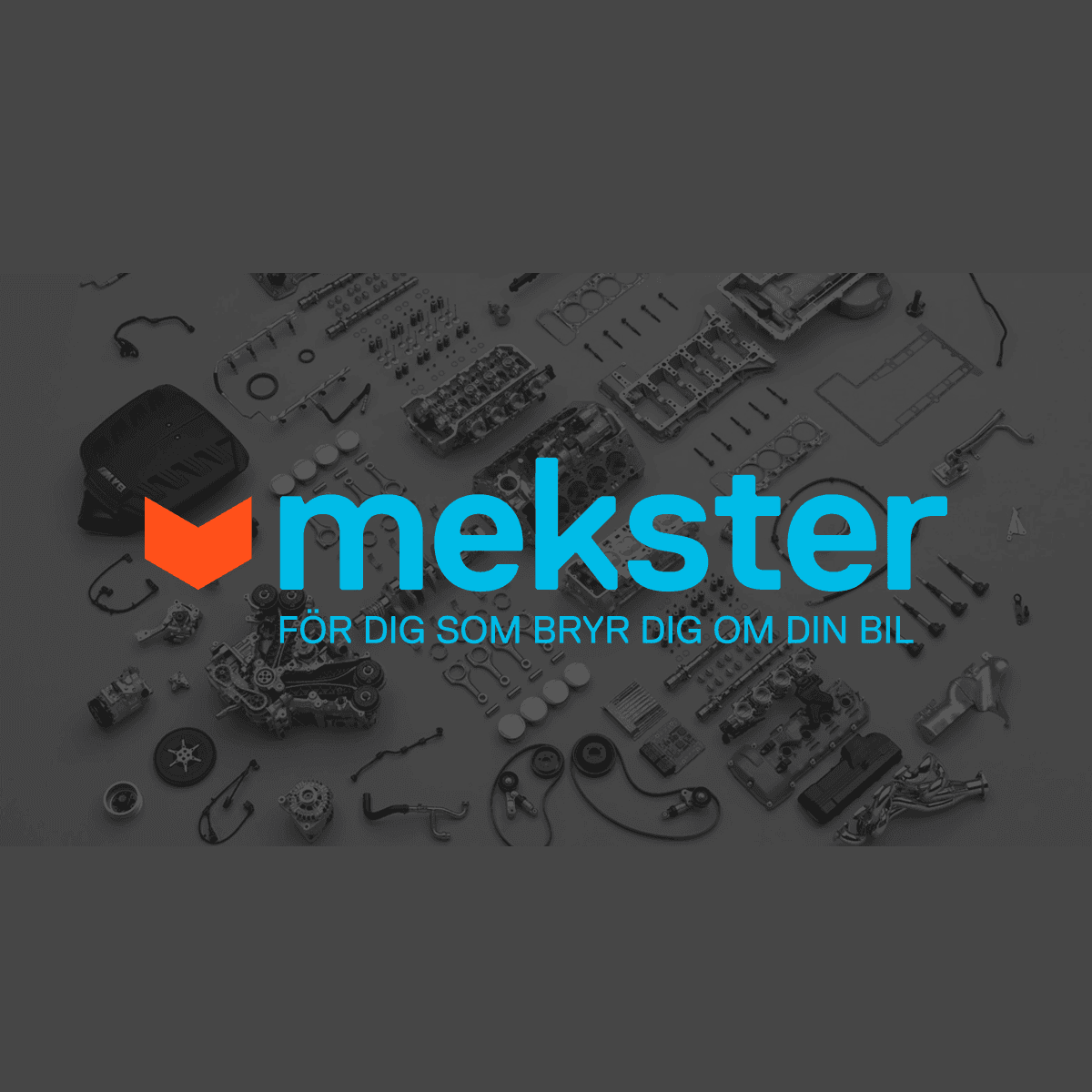 Mekster