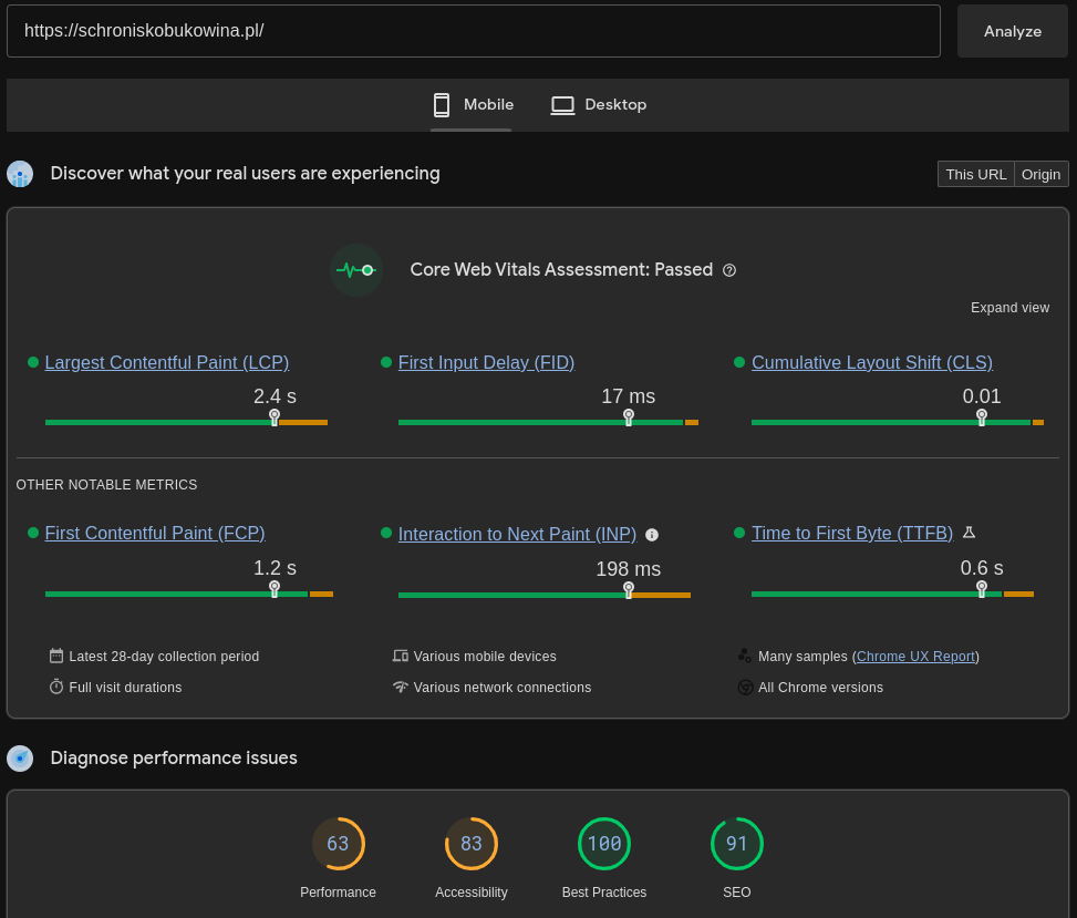 Schronisko Bukowina - Core Web Vitals